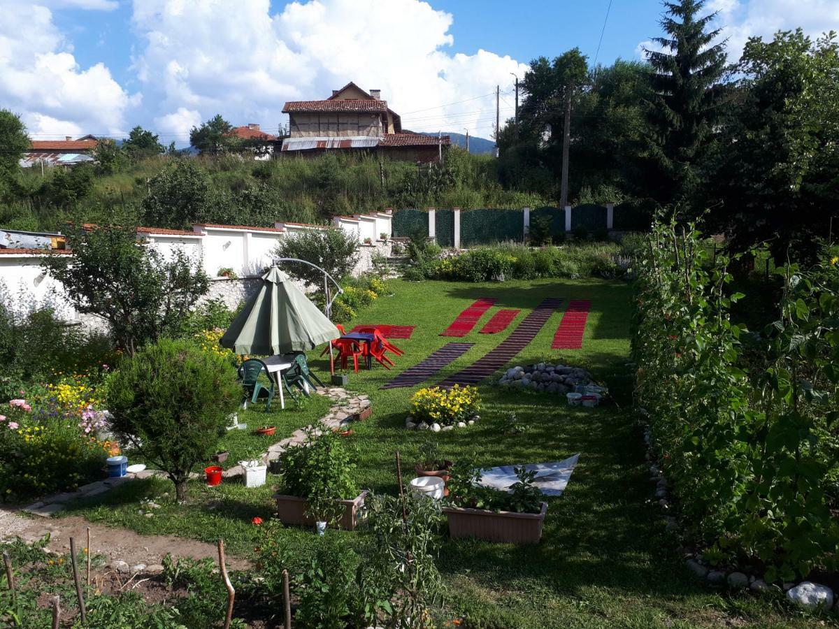 All Seasons Mountain Vistas Govedartsi Exterior foto